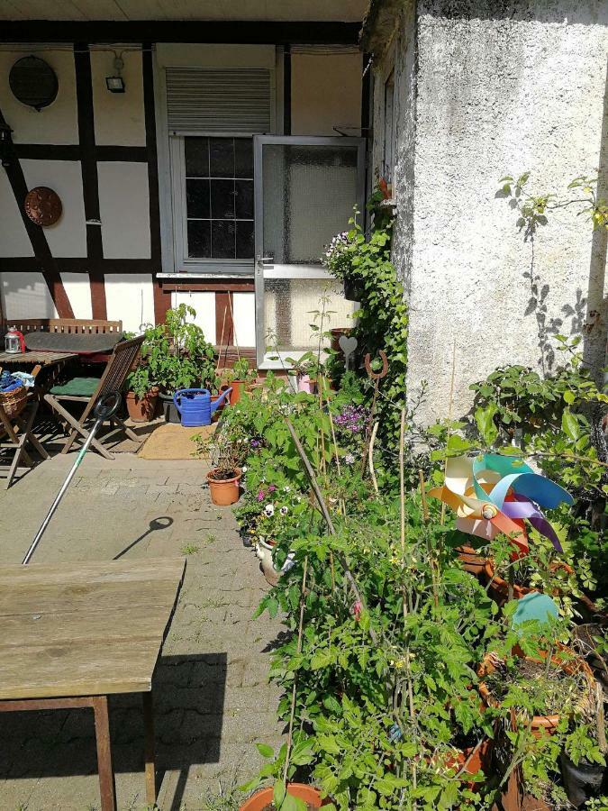 Ferienwohnung Burg Lindenfels Esterno foto